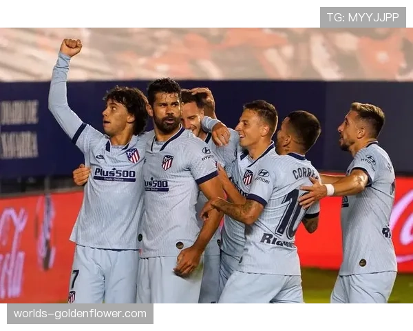 西甲基金会组织马德里社区残疾人足球锦标赛 西甲基金会组织马德里社区残疾人足球锦标赛